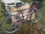 Horský bicykel Vicini - používaný – fotka 4